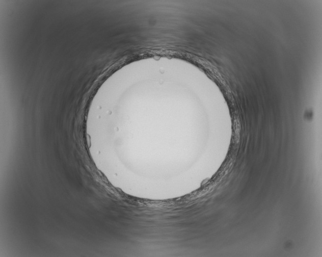 X0000116331057201001131020