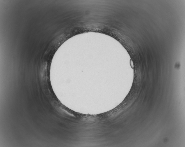 X0000116331058201001131020