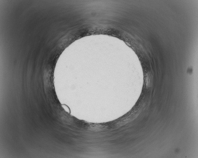 X0000116331059201001131020