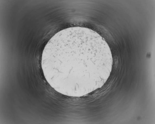 X0000116331060201001131020