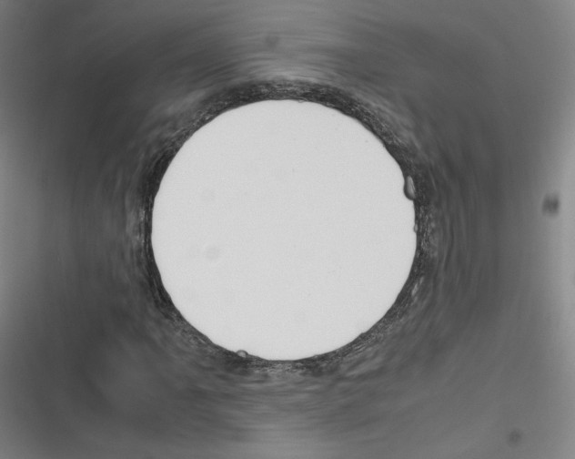 X0000116331061201001131020