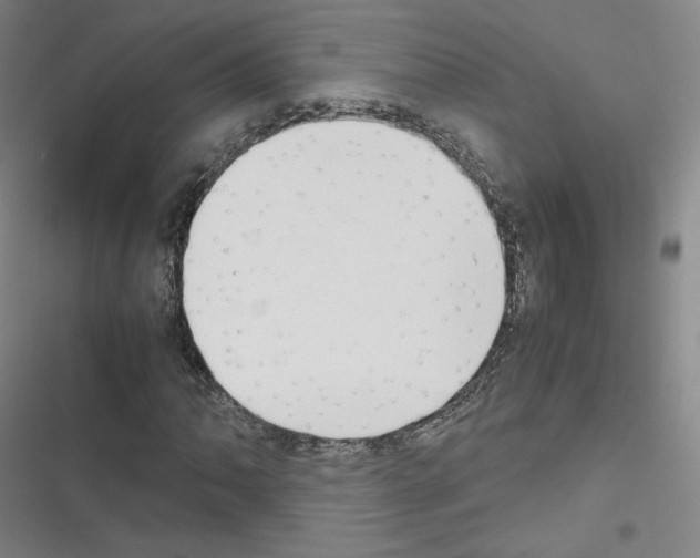 X0000116331062201001131020