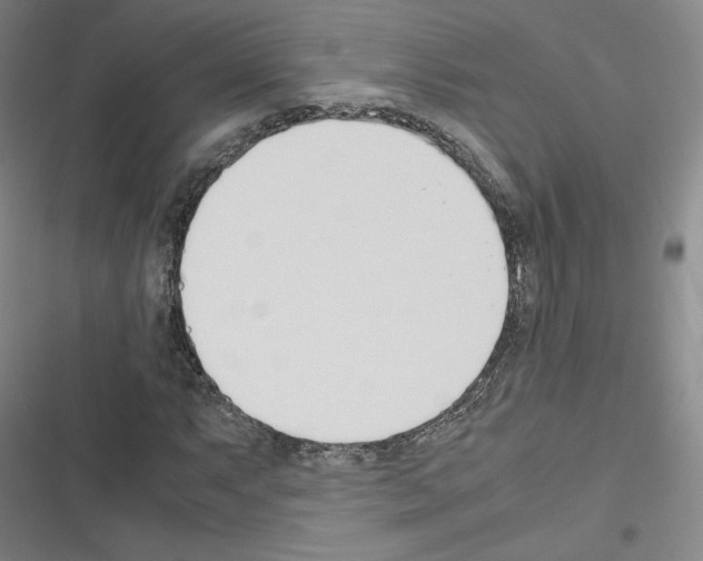 X0000116331063201001131019