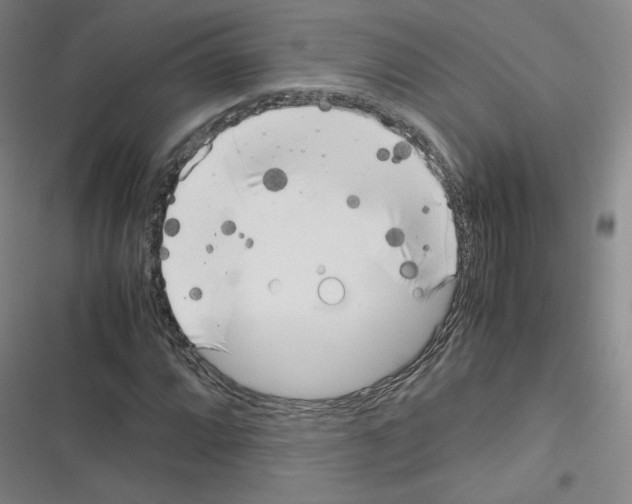 X0000116331064201001131019