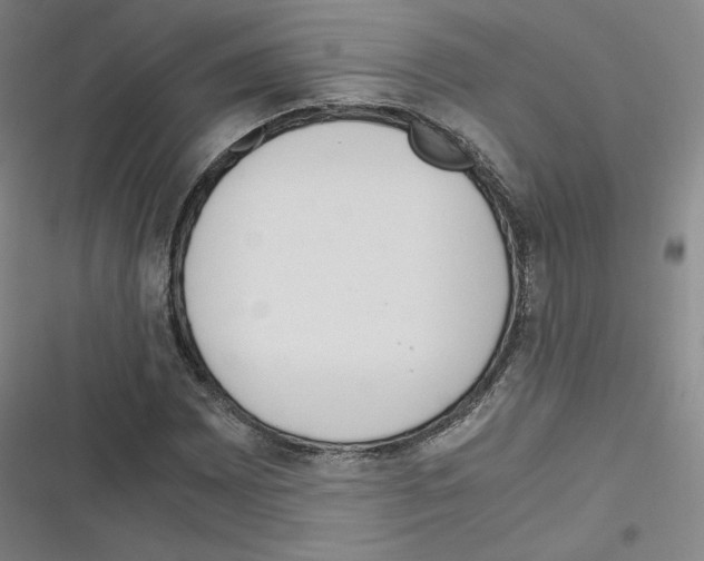 X0000116331065201001131019
