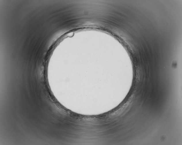 X0000116331066201001131019