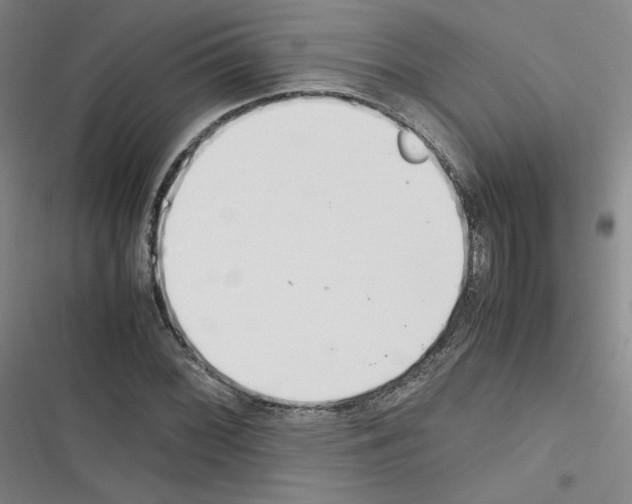 X0000116331068201001131019