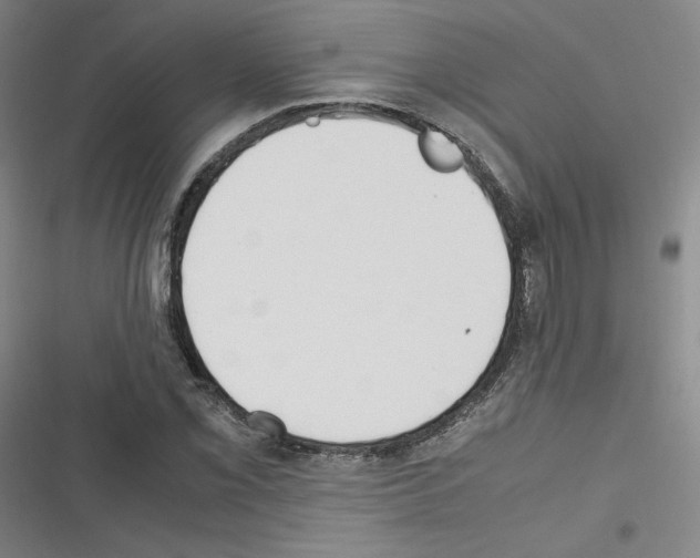 X0000116331069201001131019