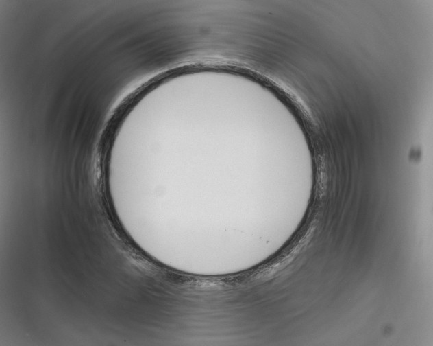 X0000116331070201001131019