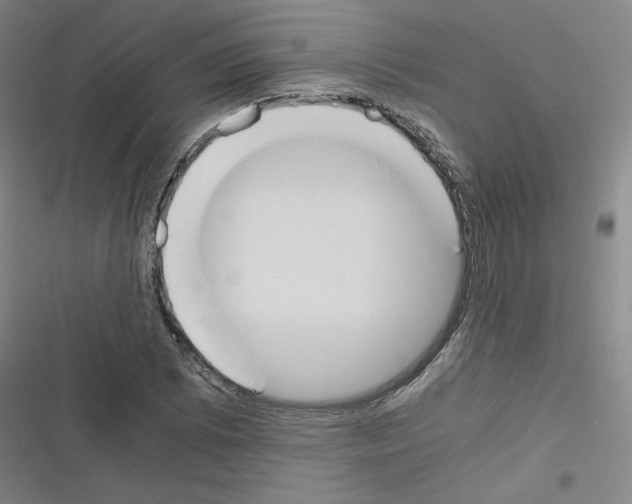 X0000116331073201001131019