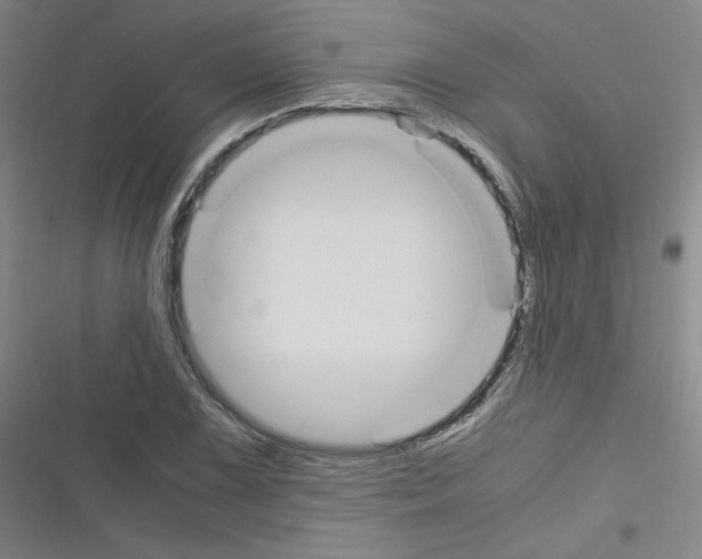 X0000116331075201001131019