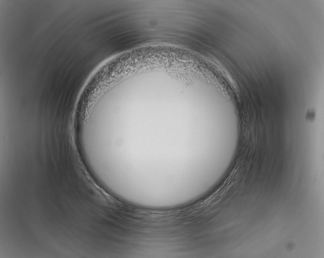 X0000116331076201001131019