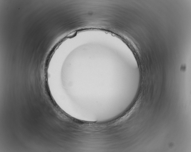 X0000116331077201001131019