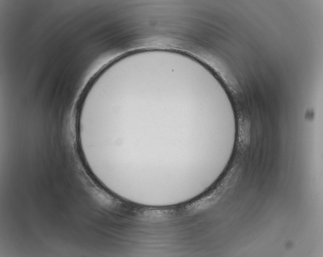 X0000116331078201001131019