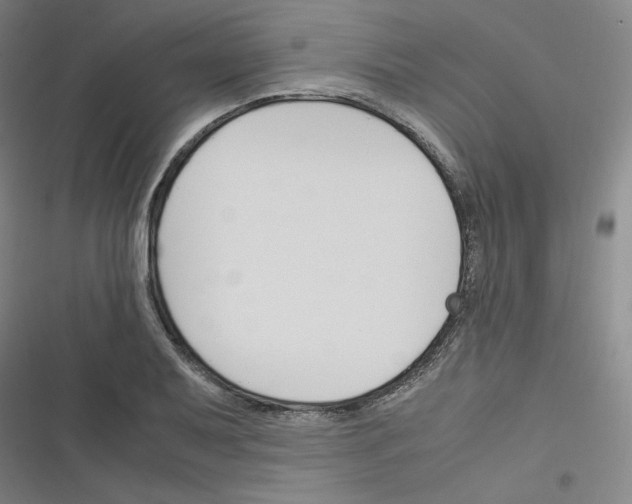 X0000116331079201001131019