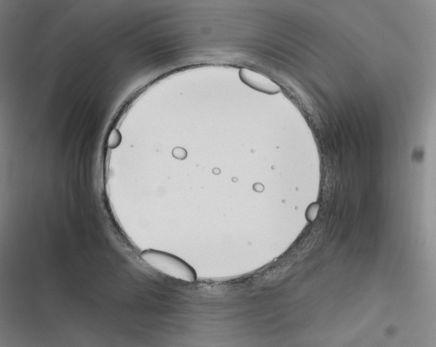 X0000116331080201001131019