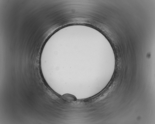 X0000116331081201001131019