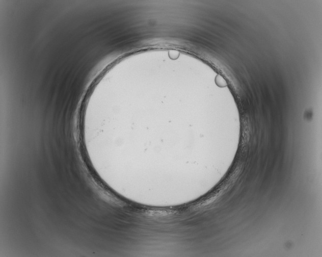 X0000116331082201001131019