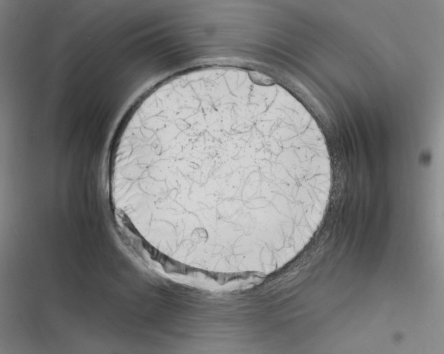 X0000116331084201001131019