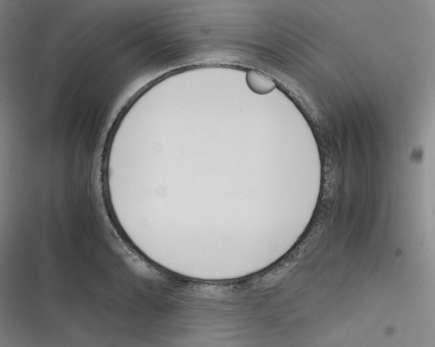 X0000116331086201001131019