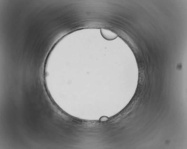 X0000116331087201001131019