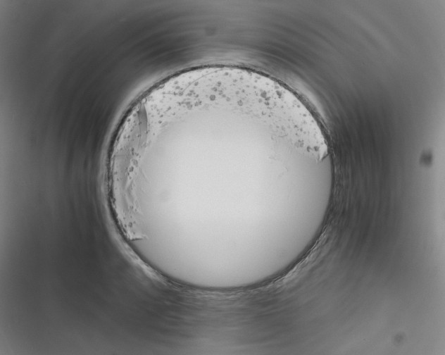 X0000116331088201001131019