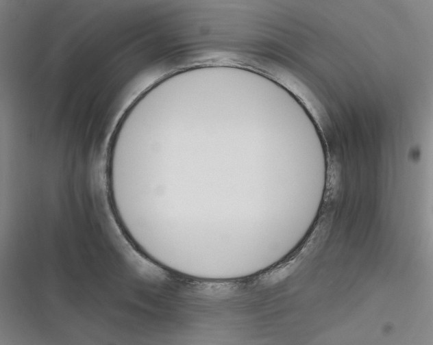 X0000116331090201001131019