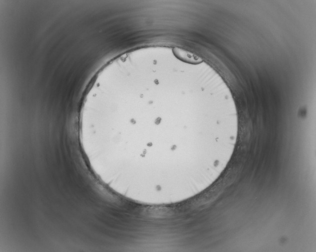 X0000116331092201001131019