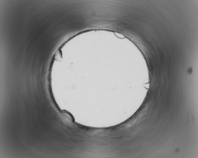 X0000116331093201001131019