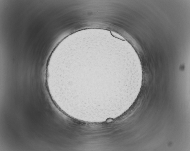 X0000116331095201001131019