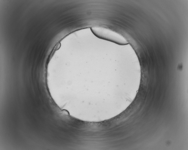 X0000116331096201001131019