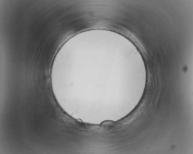 X0000116331097201001131019