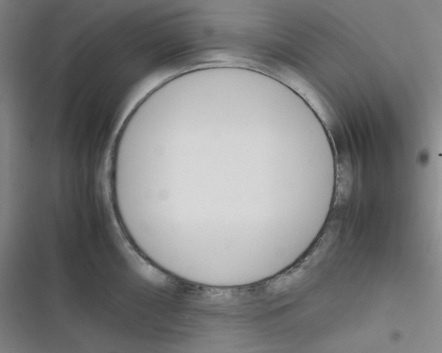 X0000116331098201001131019