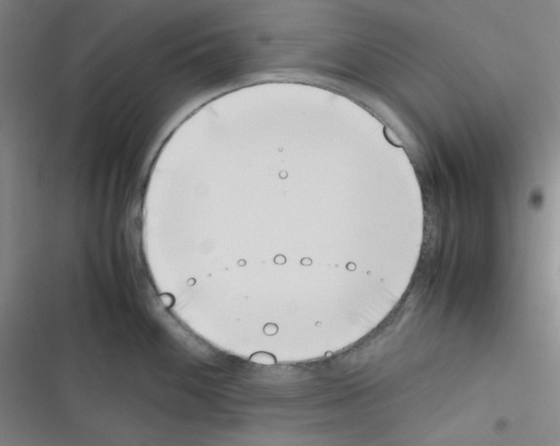 X0000116331100201001131019