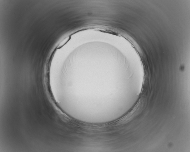 X0000116331101201001131019