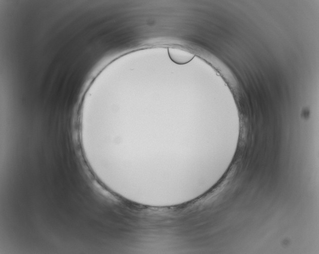 X0000116331102201001131019
