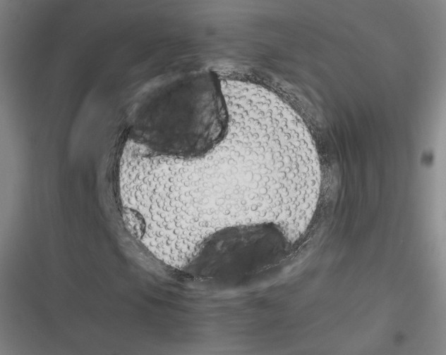 X0000116331105201001131018