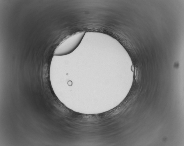 X0000116331107201001131018