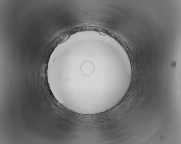 X0000116331110201001131018