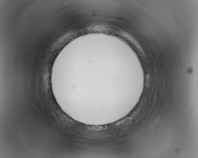 X0000116331111201001131018