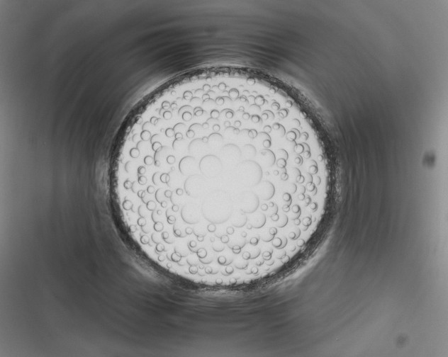X0000116331113201001131018