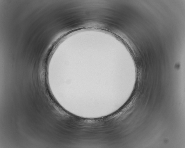 X0000116331115201001131018