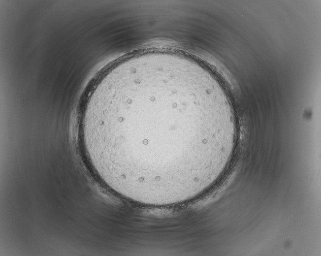 X0000116331117201001131018