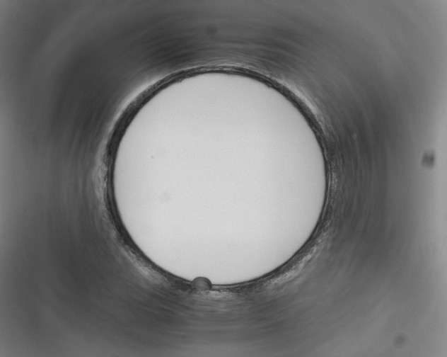 X0000116331119201001131018
