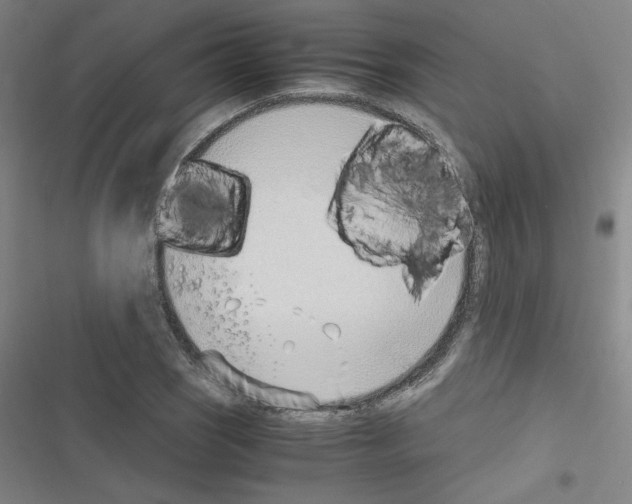 X0000116331121201001131019