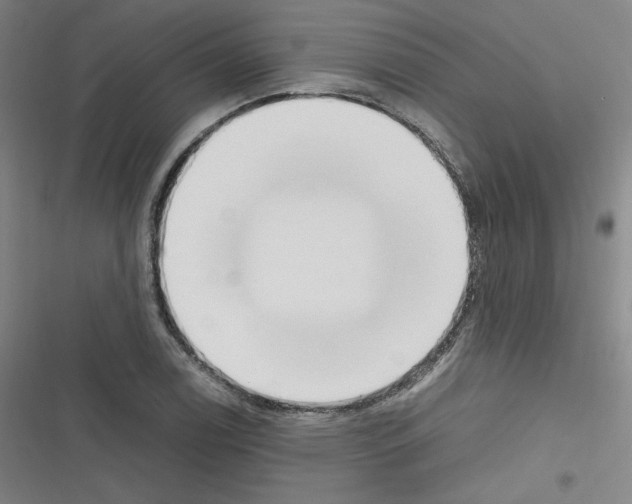X0000116331122201001131019