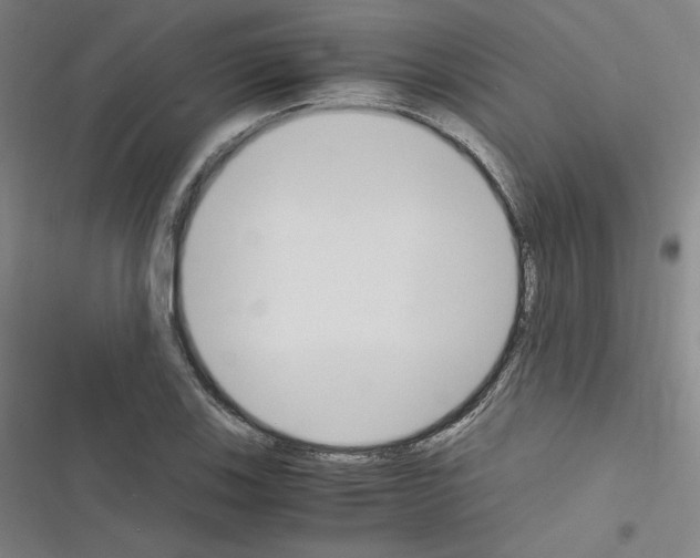 X0000116331123201001131019