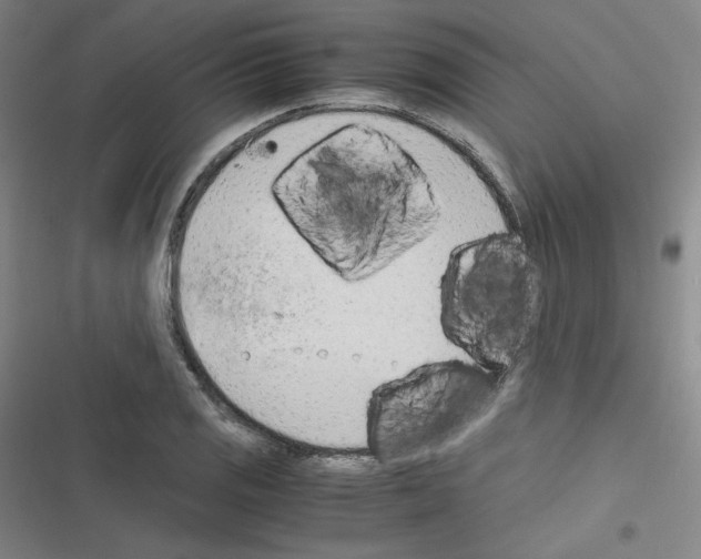 X0000116331125201001131019