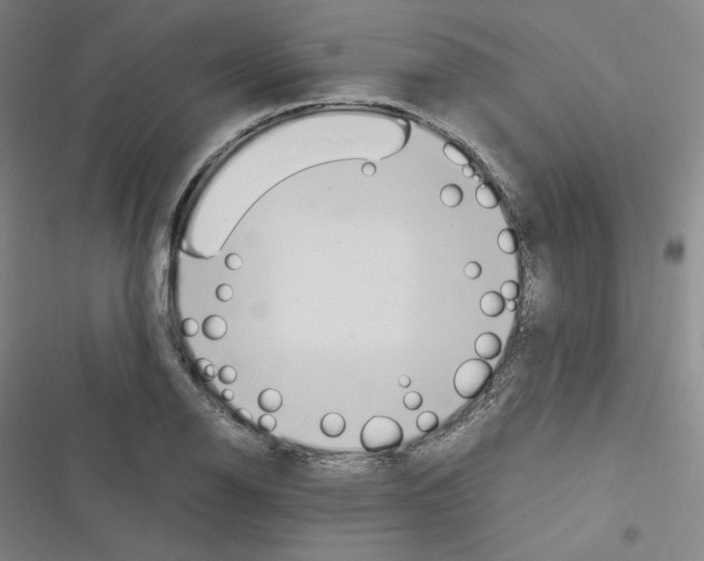 X0000116331126201001131019