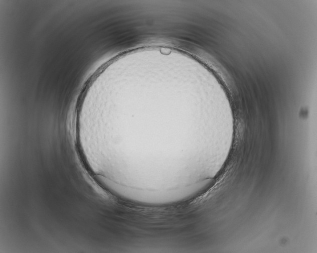 X0000116331127201001131019